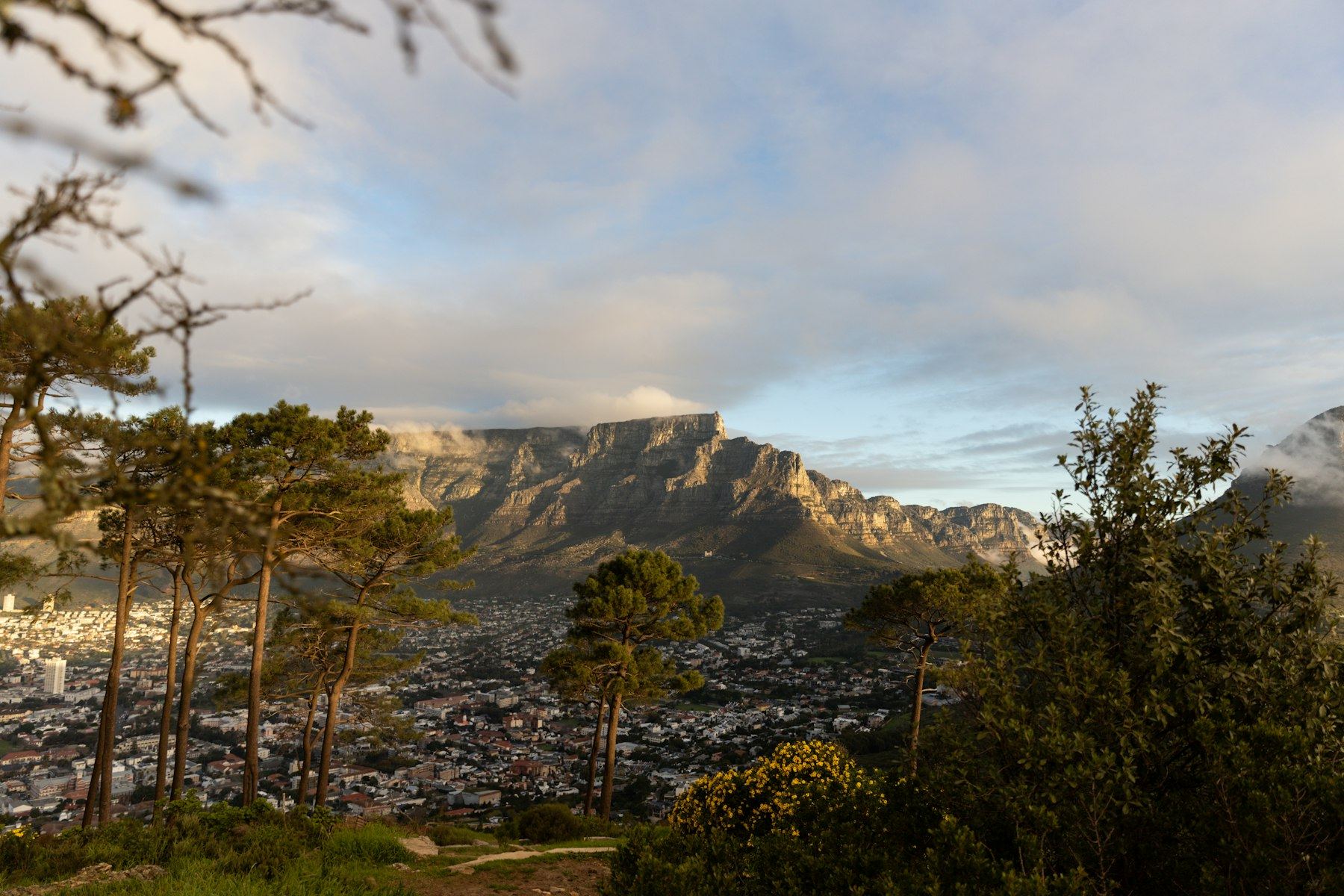Table Mountain at sunset